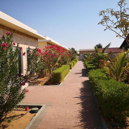 Almorouj Farm Inn - Bidiya Ngoại thất bức ảnh