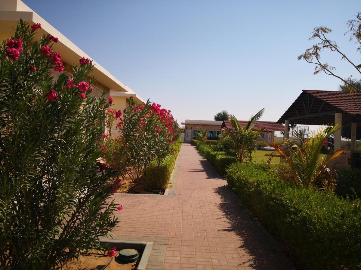 Almorouj Farm Inn - Bidiya Ngoại thất bức ảnh