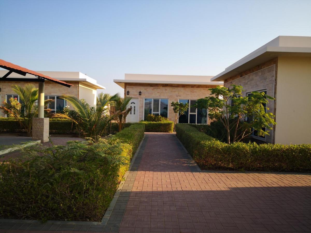Almorouj Farm Inn - Bidiya Ngoại thất bức ảnh